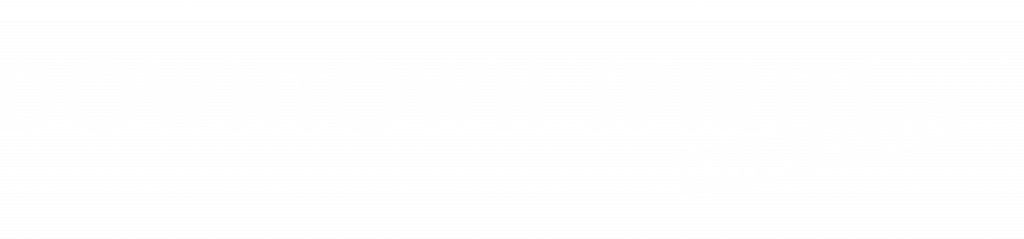 Downtown Spirits Wholesale logotype