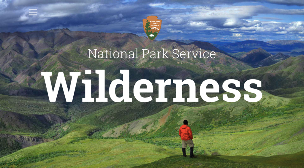 Man taking in the majestic view at Denali Wilderness, opening image on the home page of their website.
