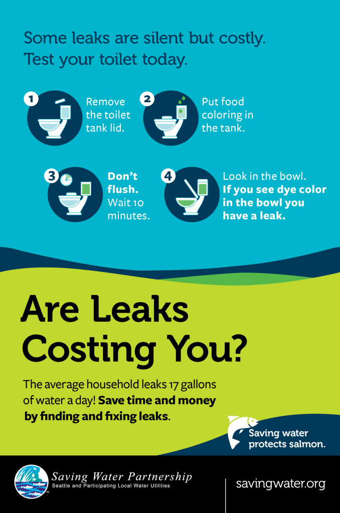 infographic about toilet leaks
